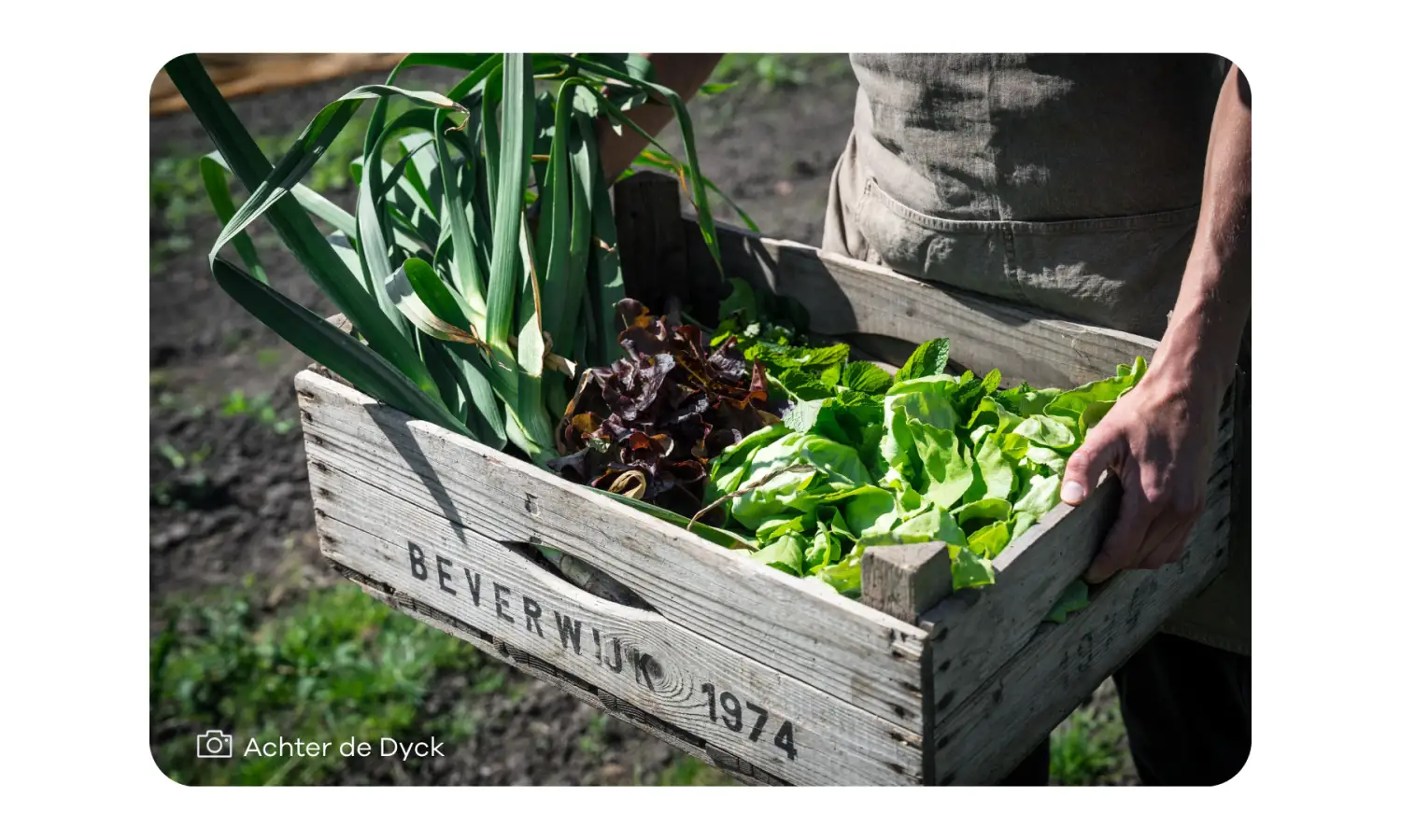 Unable to load image